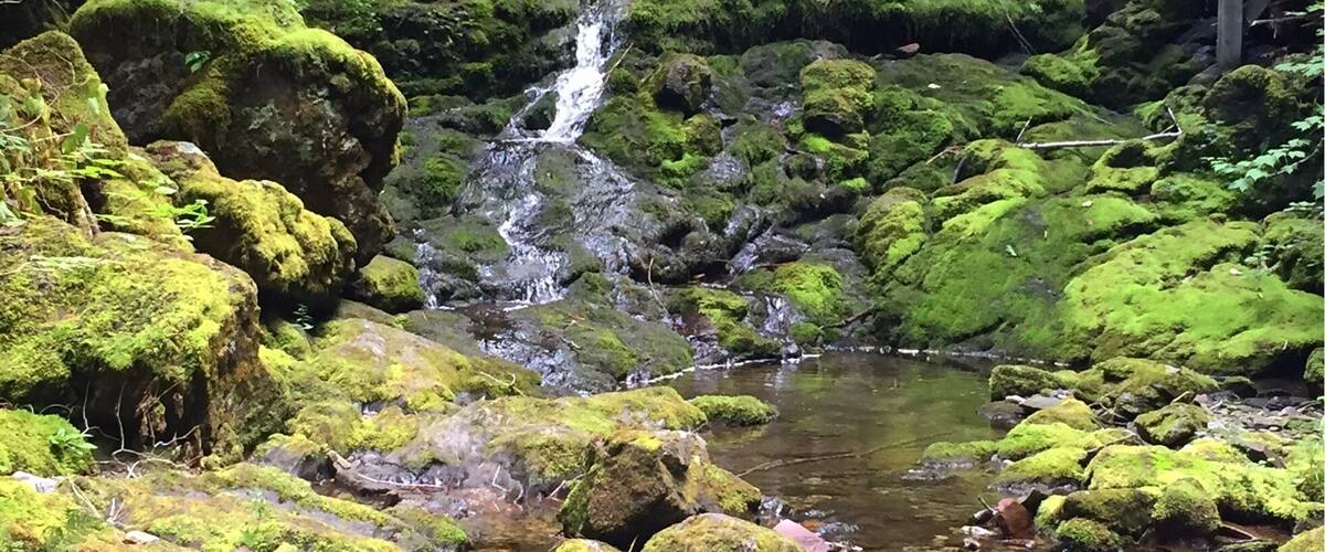 Dickson Falls in Fundy Park, NB
