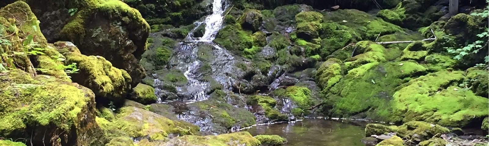 Dickson Falls in Fundy Park, NB