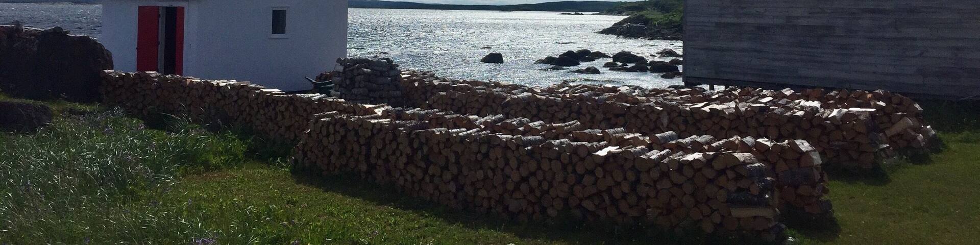 Stacked fire wood in a front yard. This is a very common site here as electricity is expensive and the winters can be long and cold.