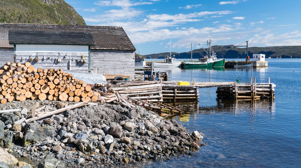Woody Point Fishing Village in Newfoundland