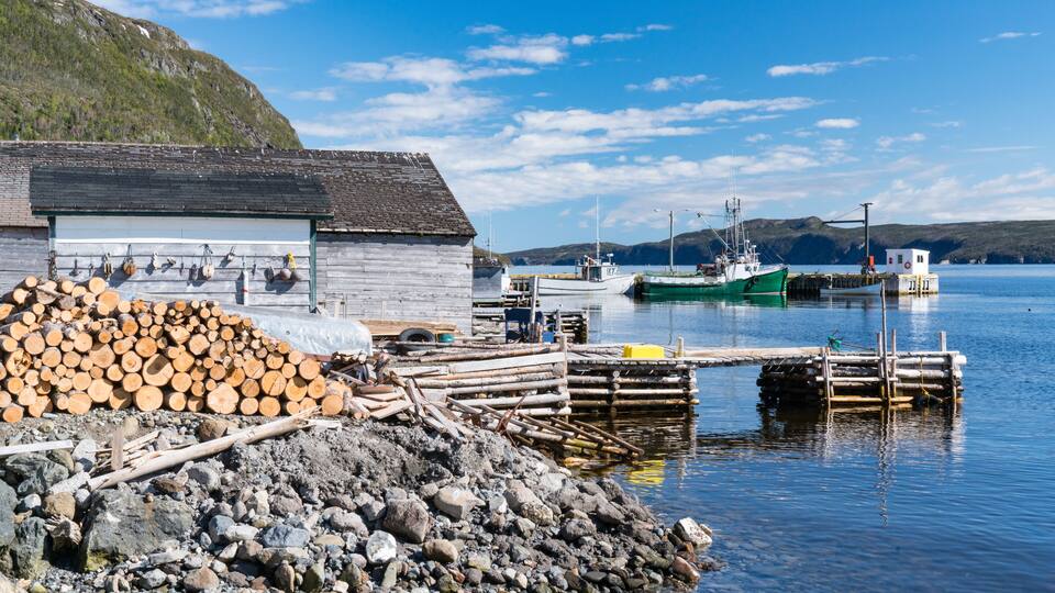 A harbor with boats, a wooden building, and a pile of logs.