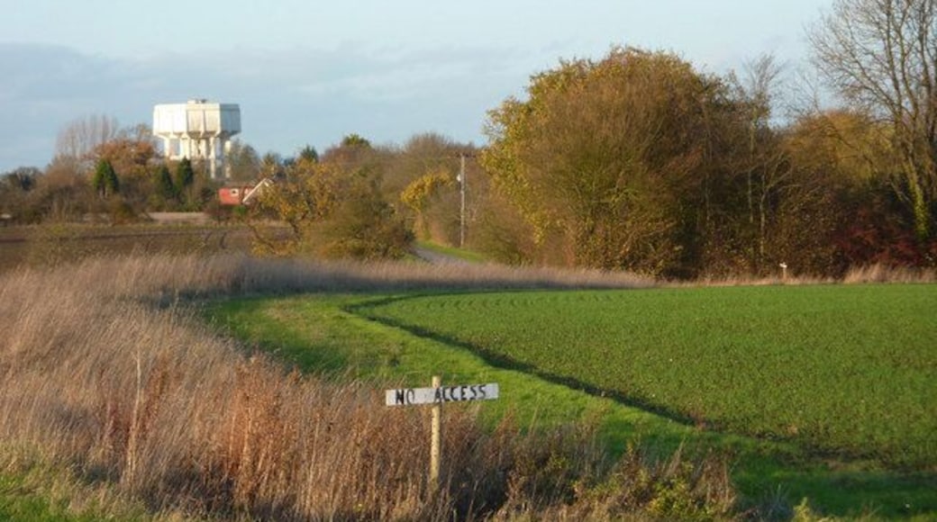 By Blacksmith's Lane towards Middlewood Green The lane follows the left edge of the line of tall brown grasses. The water tower can be seen in the distance. The are many "no access" signs in the area, but fortunately there are a few footpaths as well.