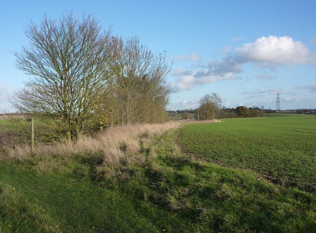 View along field edge Open countryside to the north of the A1120 looking towards Little Stonham.
