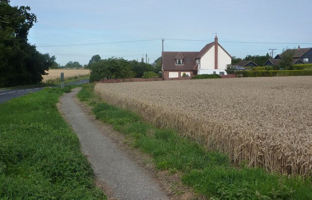 A rural road with a field of wheat, a house with a white facade, and a clear sky.