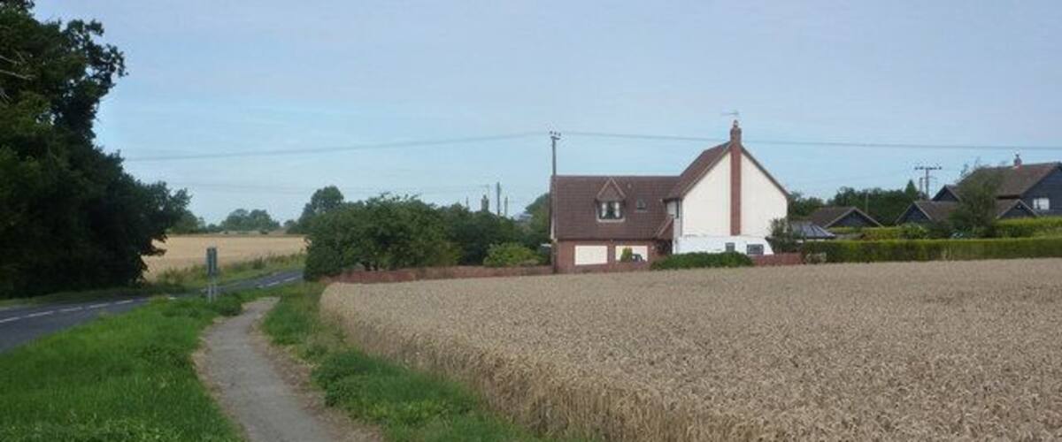 A rural road with a field of wheat, a house with a white facade, and a clear sky.