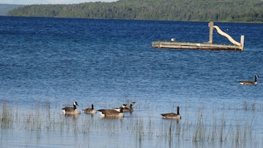 Life does not get better then to relax on Manitoulin Island , Ontario , Canada