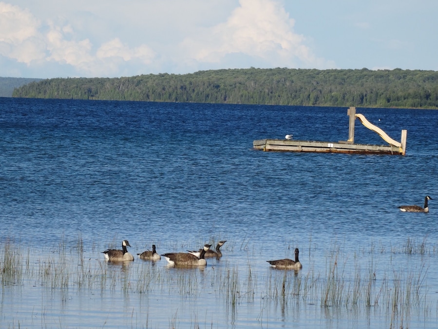Life does not get better then to relax on Manitoulin Island , Ontario , Canada