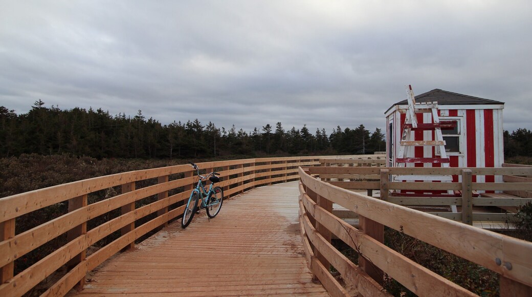 No blue sky, blue bike will do #roadtothebeach #lifeatexpedia