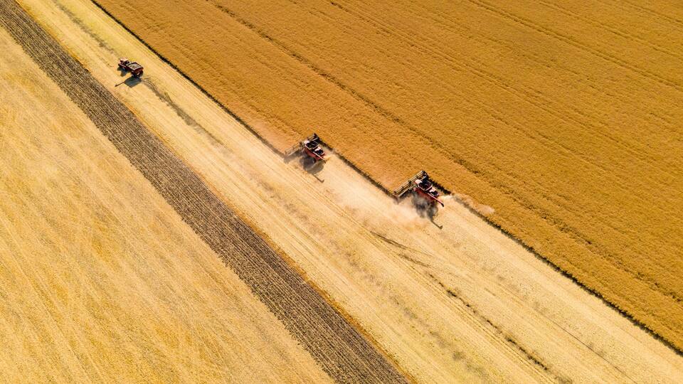 An aerial view of a field with three tractors harvesting crops.