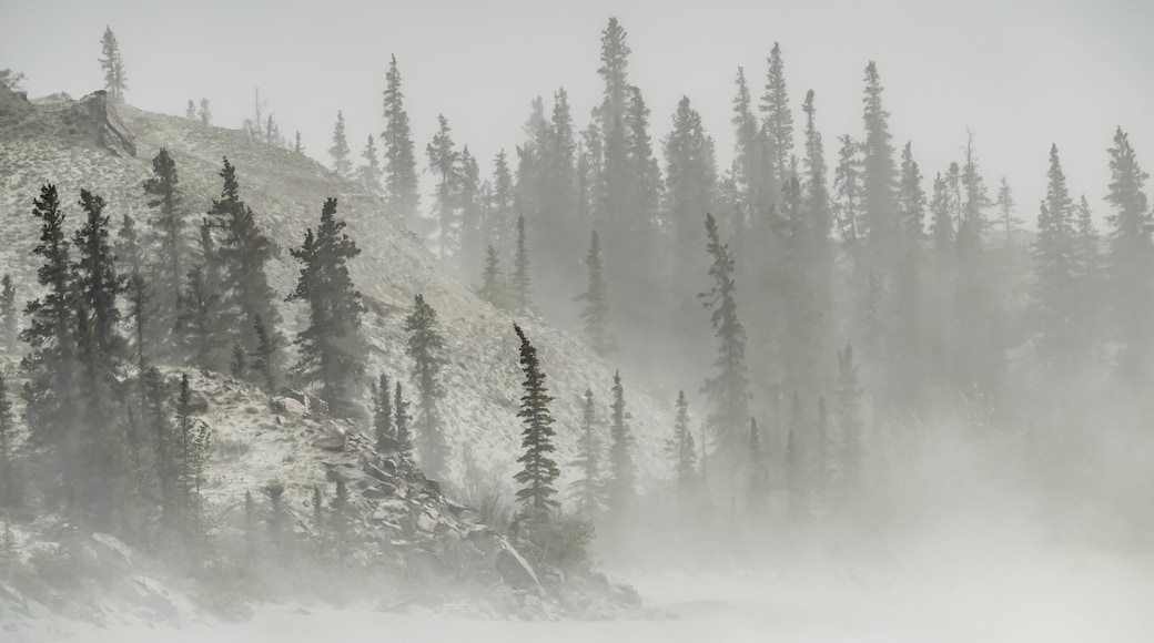 Dust storm in Kluane National Park; Destruction Bay, Yukon, Canada