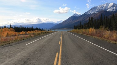 Sunny day on Alaska Highway!