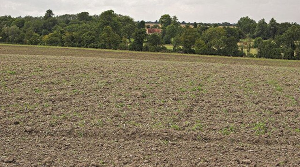 Down Hall. The house in the distance is Down Hall. The shot shows the house surrounded by its own Park making any other view very difficult.