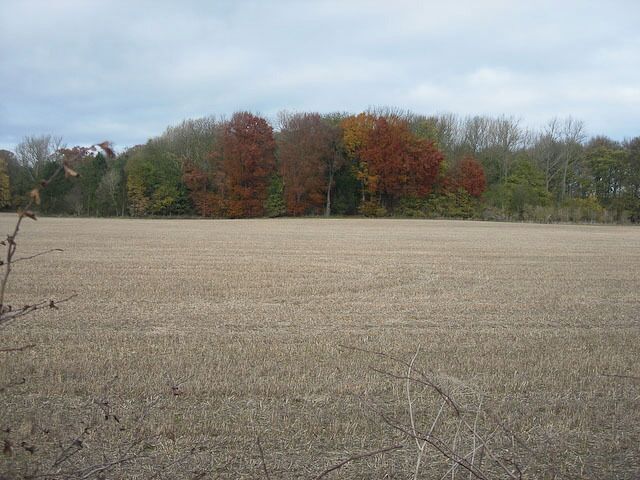 Springs Plantation Around Wilbraham Temple.