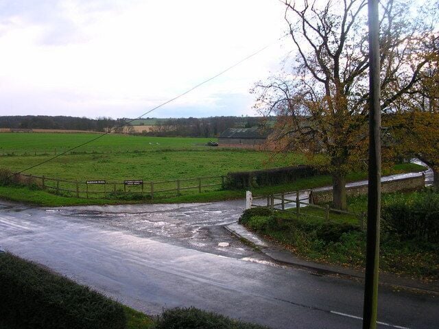 Zoom 4 pheasants. Barham Hall had 30 pheasants this day. Only a few came out on this shot.