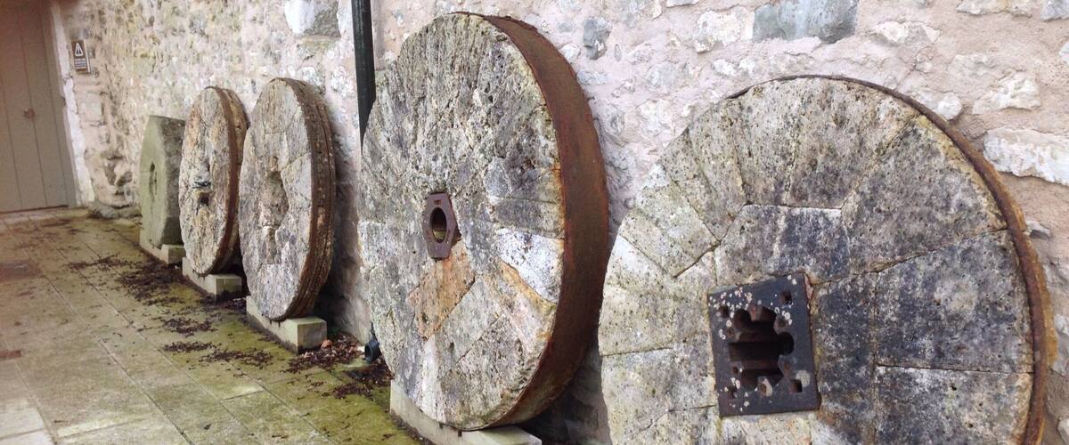 A row of large, weathered stone wheels mounted on a wall, with moss and dirt accumulation.