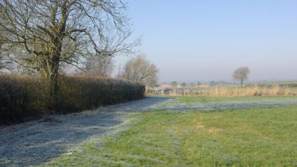 A frosty rural path with hedges and trees.