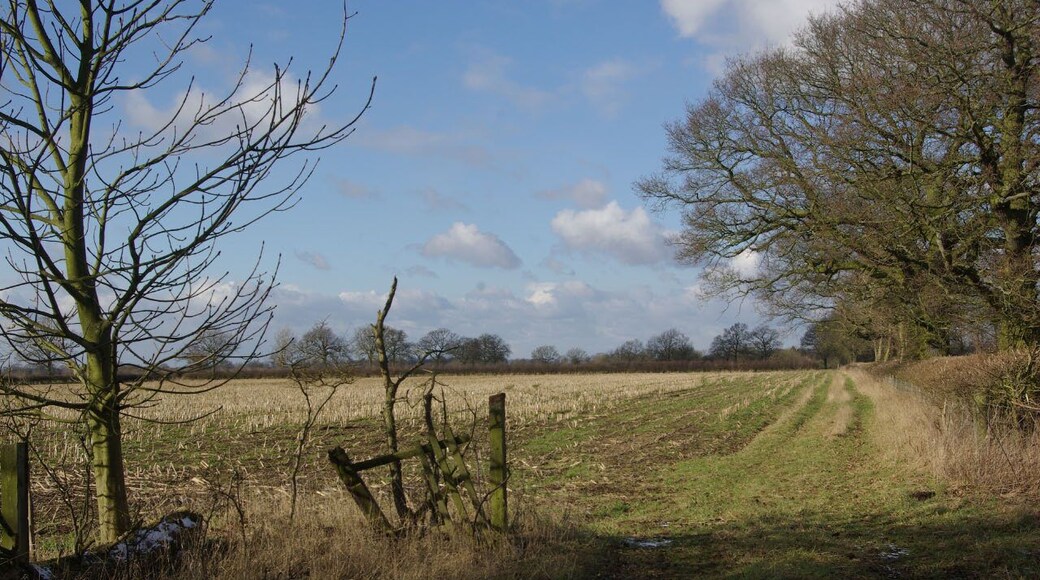 Bourton Heath Flat farmland to the north-west of the straight mile, seen here on a sunny but bitterly cold day.