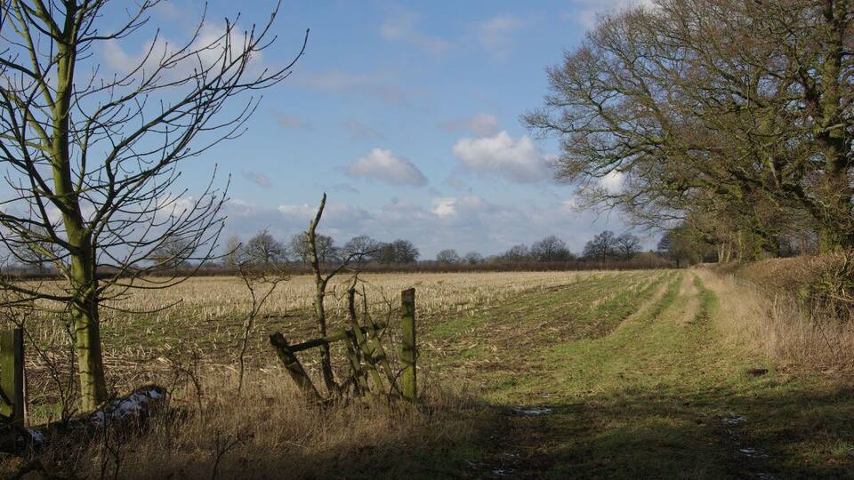 Bourton Heath Flat farmland to the north-west of the straight mile, seen here on a sunny but bitterly cold day.