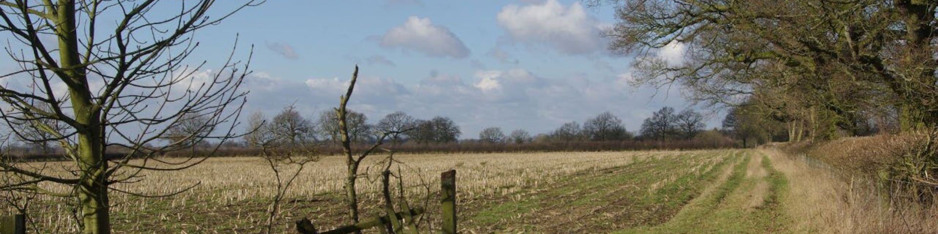 Bourton Heath Flat farmland to the north-west of the straight mile, seen here on a sunny but bitterly cold day.