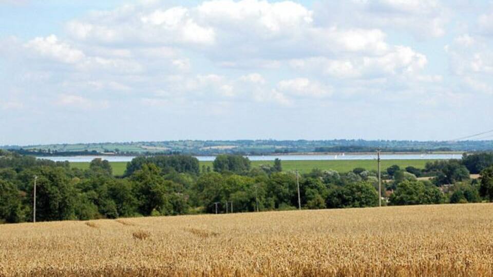 Looking southeast from Bourton-On-Dunsmore Wheat ripening east of Bourton with Draycote Water reservoir in the distance.