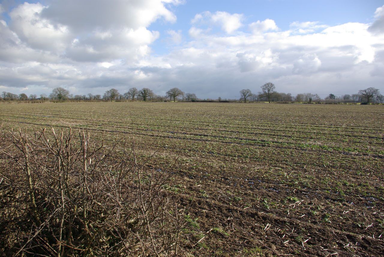 Farmland near Bourton on Dunsmore Flat fields to the south-east of the straight mile on a cold February day.