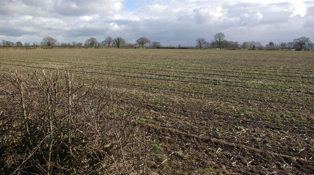Farmland near Bourton on Dunsmore Flat fields to the south-east of the straight mile on a cold February day.