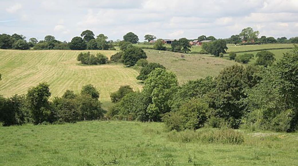 The valley of the Bentley Brook looking towards Cubley Common