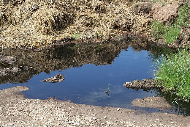 Dung pile at Bentley Hall The dark water leaching out of the dung creates a particularly dense blue in the reflection