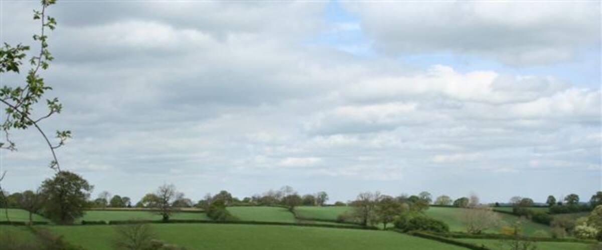 Rolling green hills, scattered trees, and a cloudy sky.