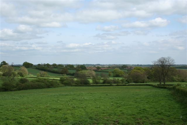 General view of a square KM of pasture This whole square SK1939 is rolling traditional and improved pasture with a long established hedge pattern. There are no roads, tracks or buildings of any nature. There are a number of small brooks and neglected cattle drinking ponds. There were a few beef cattle or young dairy cattle grazing in one field (warm day late April 2007), and a white horse in another. Other than that the area is strangely lifeless and not as inviting as it seems at first instance. The whole square is well criss-crossed with public footpaths, but these are poorly marked and obstructed in places. Many of the fields are used, or have been used, by horse cross-country events. The jumps in the hedging appear to be recently maintained. The central feature, Bog Plantation, mixed woodland, is not crossed by a public right of way. This is not the easiest square to photograph, but it was the nearest un-photographed one to my home for my first submission.