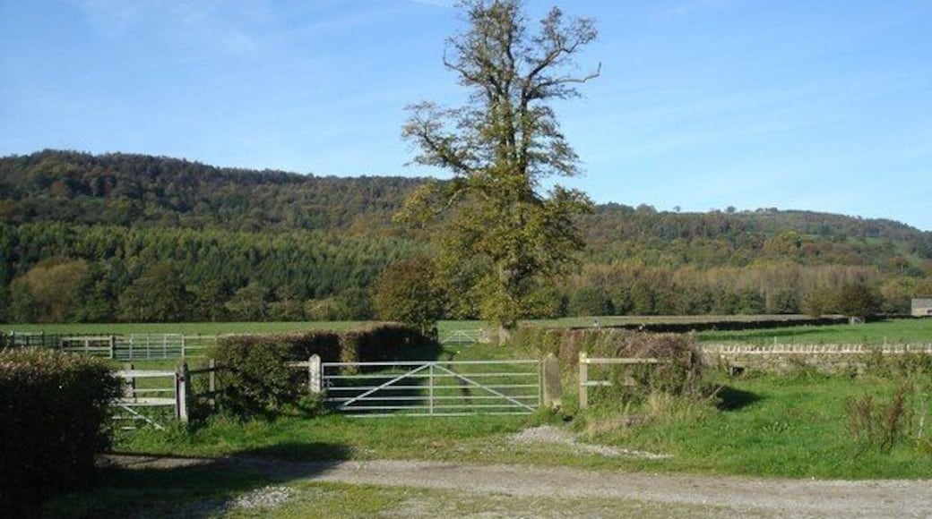 Footpath through Abbey Farm