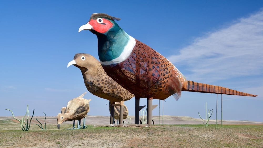 Eine große Vogel-Skulptur in einer Wüstenlandschaft.