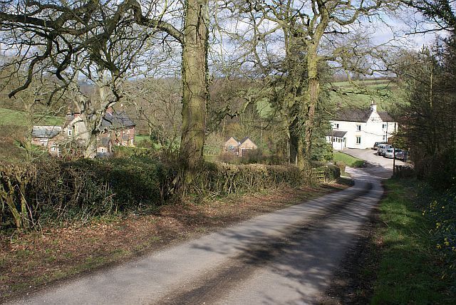 A narrow rural road flanked by trees and houses.