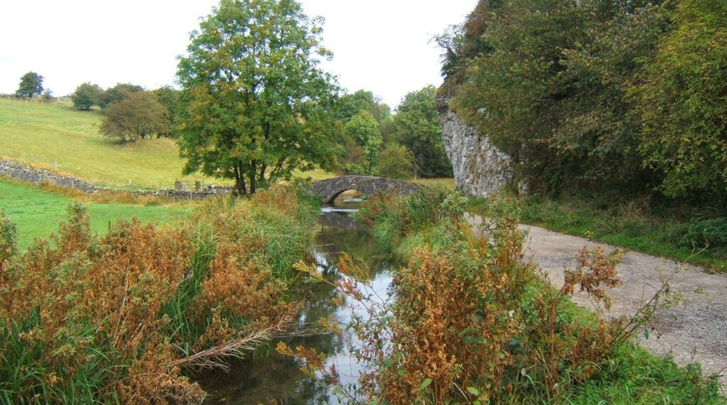 Nothing to do with Bradford in Yorkshire! This is the River Bradford in Derbyshire, which is a short but pretty tributary of the w:River Lathkill.