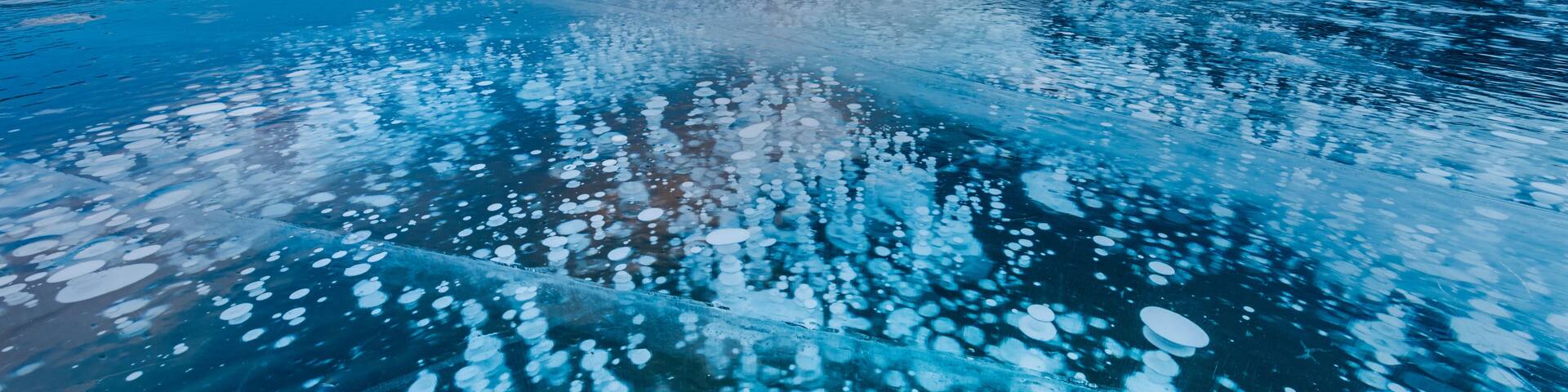 Methane ice bubbles under clear ice on Abraham Lake near Nordegg, Alberta, Canada