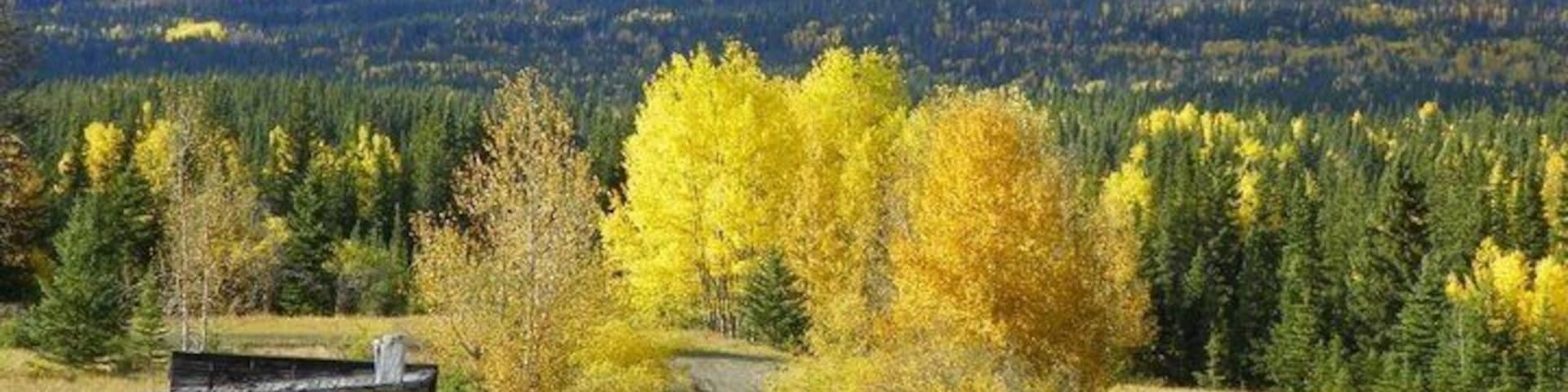 Mostly abandoned buildings, but had some interesting experiences and got a very cool evp at the cemetery/wash house that was where the miners bodies were taken after the mining disaster in 1941