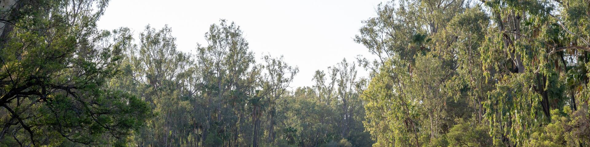Dawson River, Theodore, Central Queensland, Australia, natural bush creek landscape, nature environment, camping weekend travel