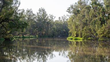 Dawson River, Theodore, Central Queensland, Australia, natural bush creek landscape, nature environment, camping weekend travel