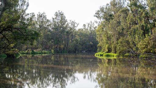 Dawson River, Theodore, Central Queensland, Australia, natural bush creek landscape, nature environment, camping weekend travel
