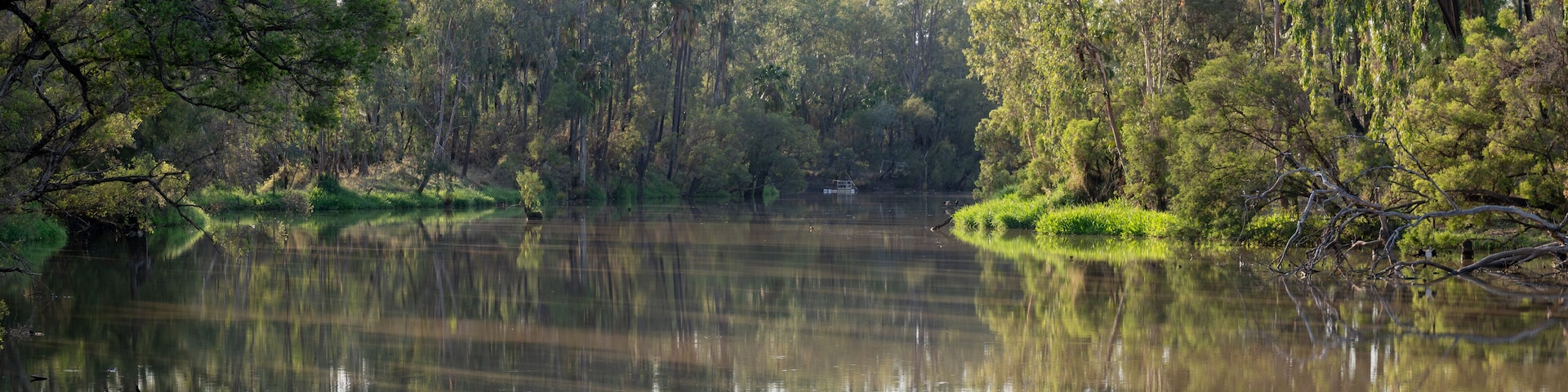 Dawson River, Theodore, Central Queensland, Australia, natural bush creek landscape, nature environment, camping weekend travel