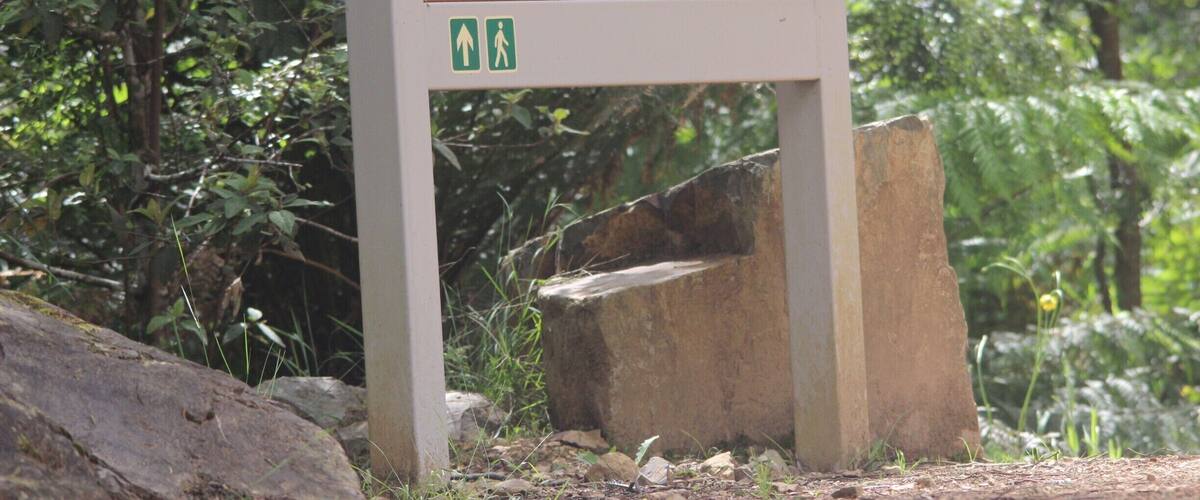 The Wirrawilla walk in Toolangi State forest is a short walk that will give you a taste of the wet forest. It is one of the easiest walks in the area.
We were quickly surrounding by a river, fungi and a lot of birdlife. It's worth savouring #localgem