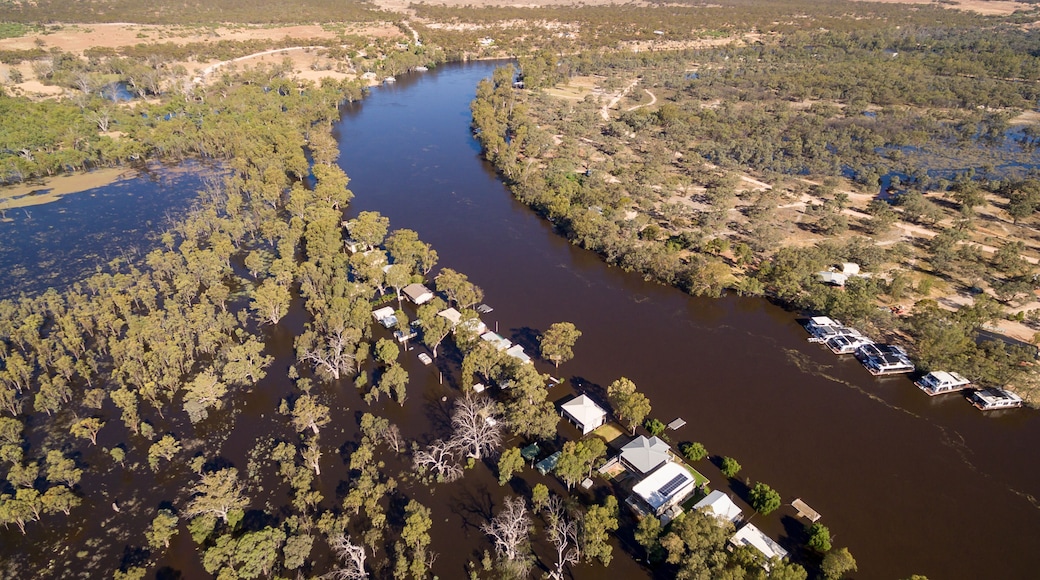 Oblique Aerial view of the Murray River at Morgan in South Australia in flood in December 2016