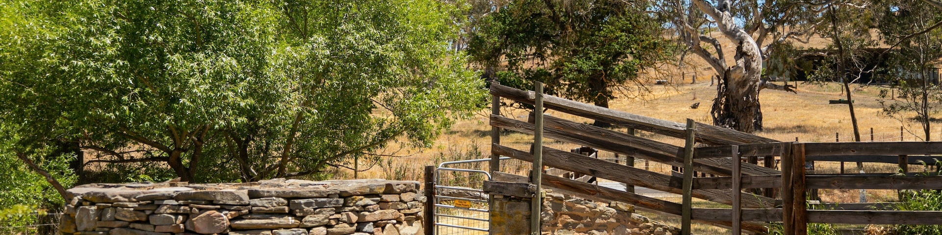 Mount Pleasant featuring tranquil scenes