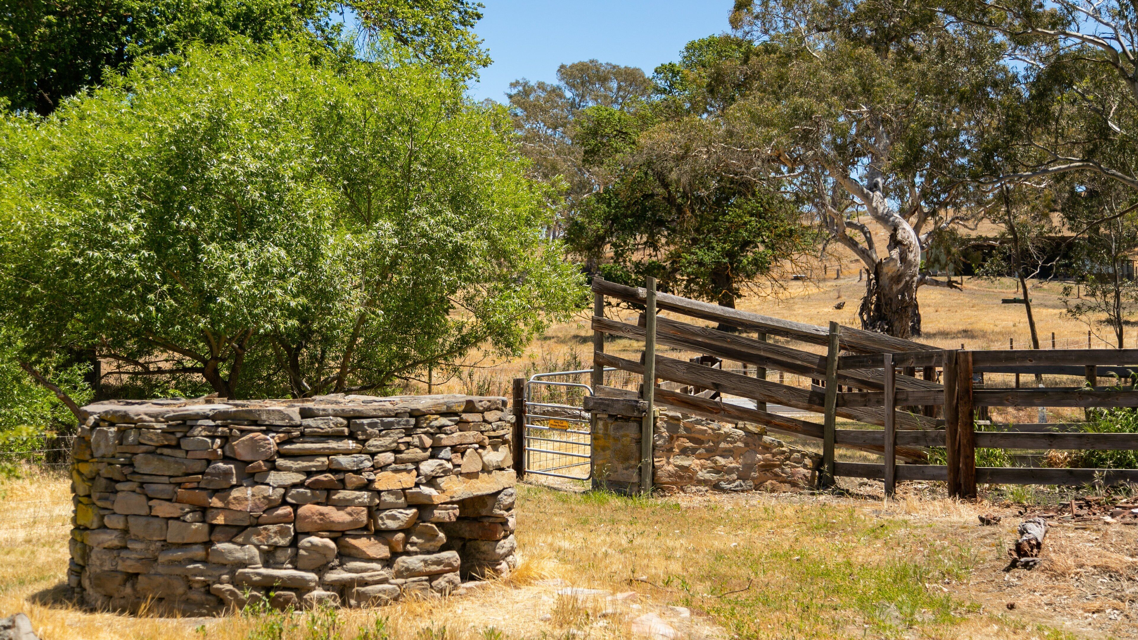 A stone wall, wooden gate, and trees in a dry grassland.