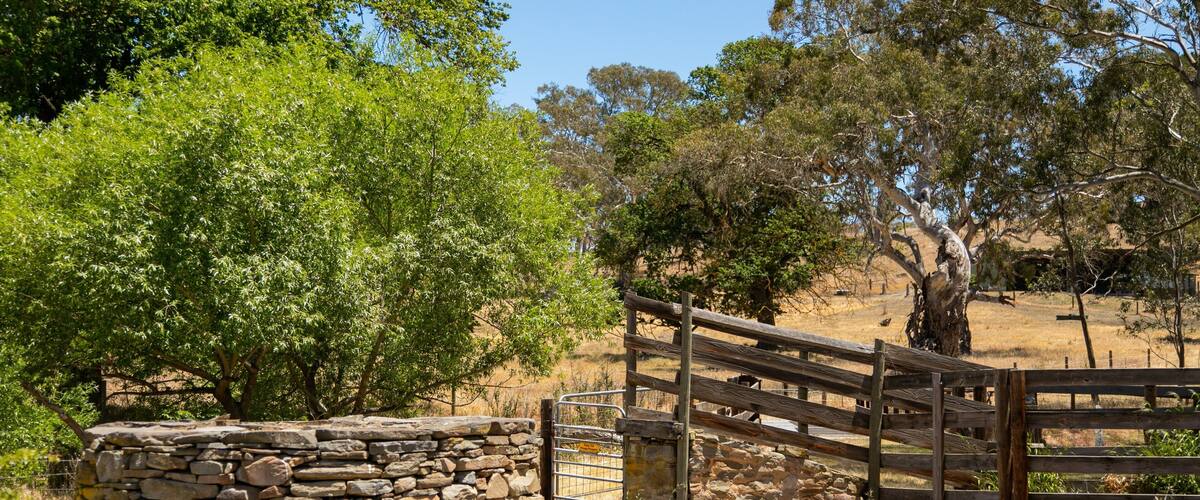 A stone wall, wooden gate, and trees in a dry grassland.