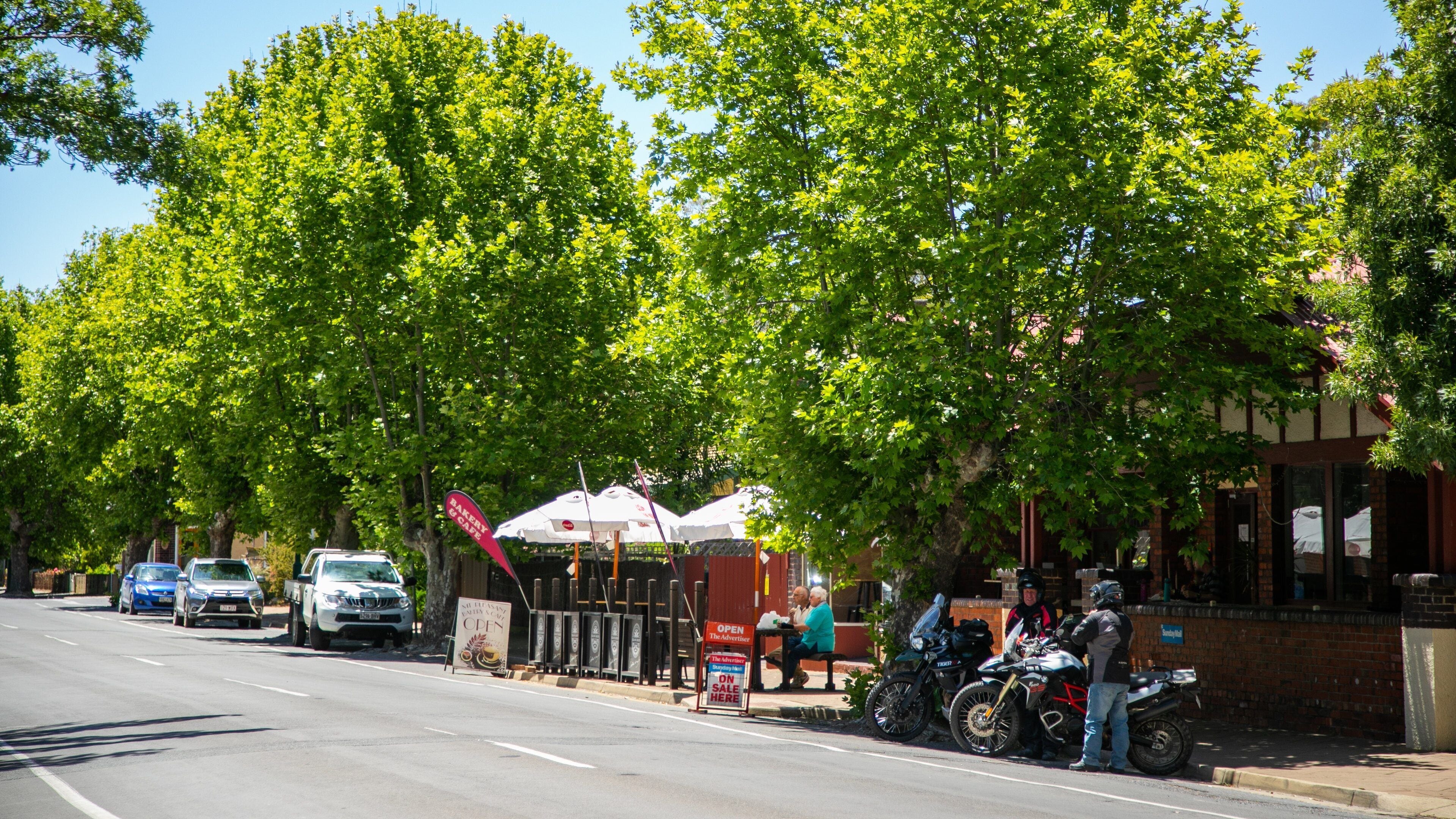 A street lined with trees, parked cars, and a cafe with outdoor seating.