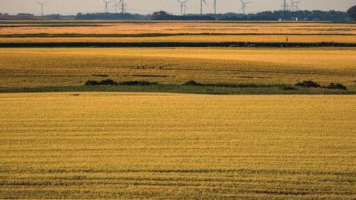So this isn't exactly in Tower City, it is near it though! And when you are driving westbound on I-94 near Tower City you can see all the windmills off in the distance!