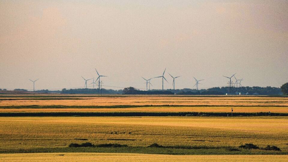A vast agricultural field with multiple wind turbines in the distance.
