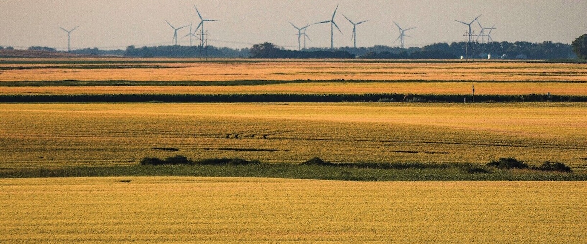 A vast agricultural field with multiple wind turbines in the distance.