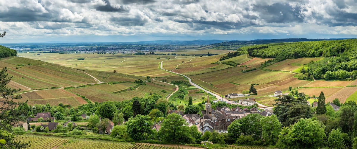A lush valley with vineyards, a small town, and rolling hills under a cloudy sky.